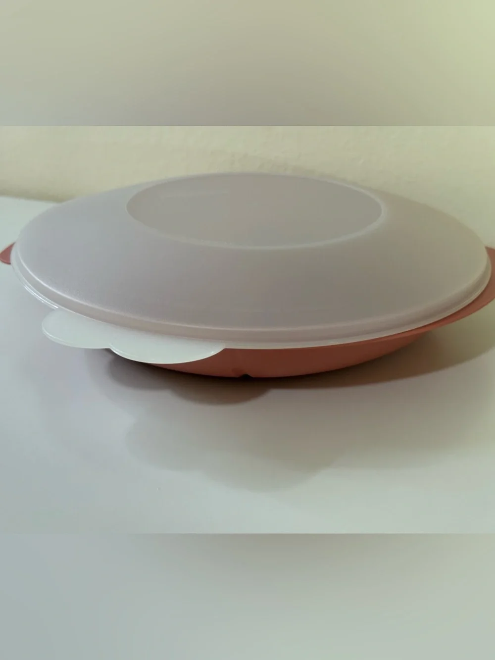 Vtg Tupperware Divided 3 SlotReheatable Plate W/White Lid suctionDusty Rose 8.5